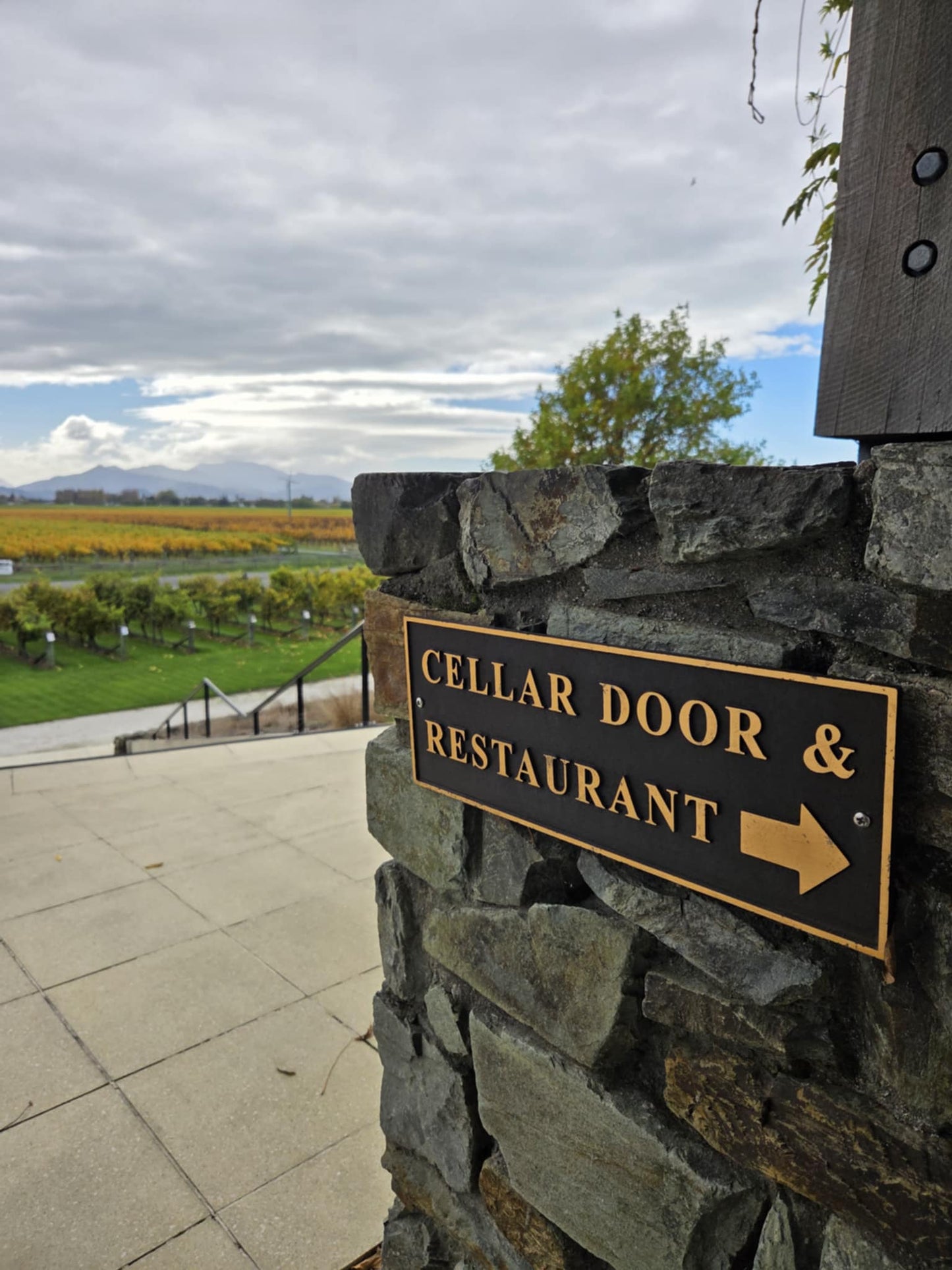 Wine Tasting Tour