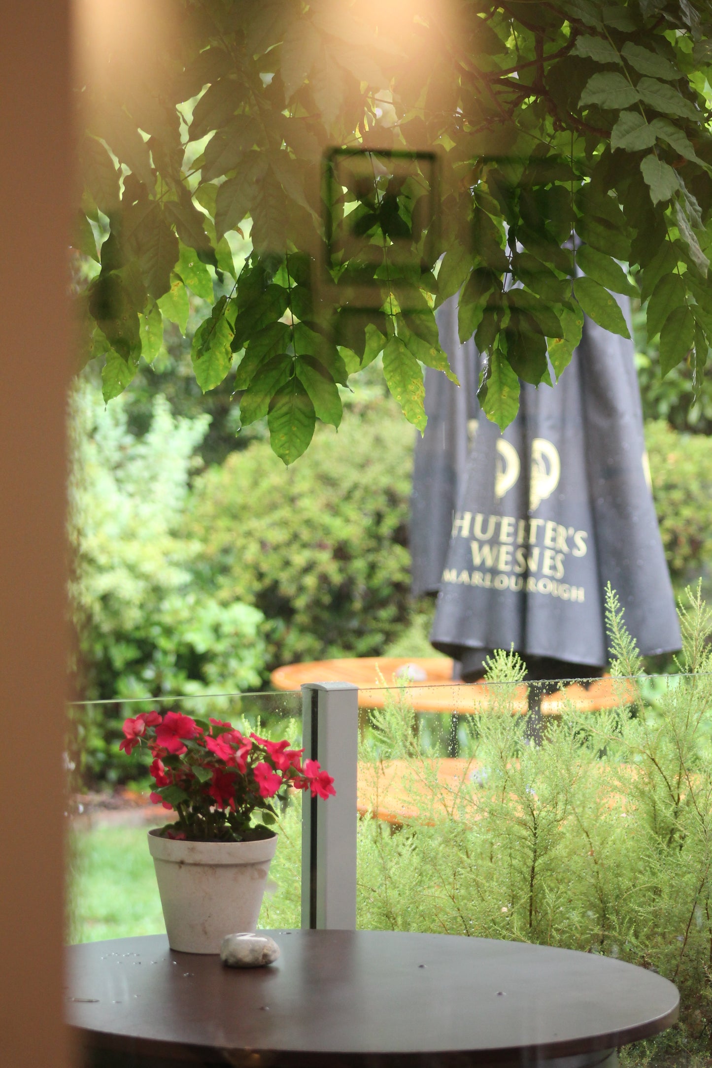 Classic Wine Tasting Tour