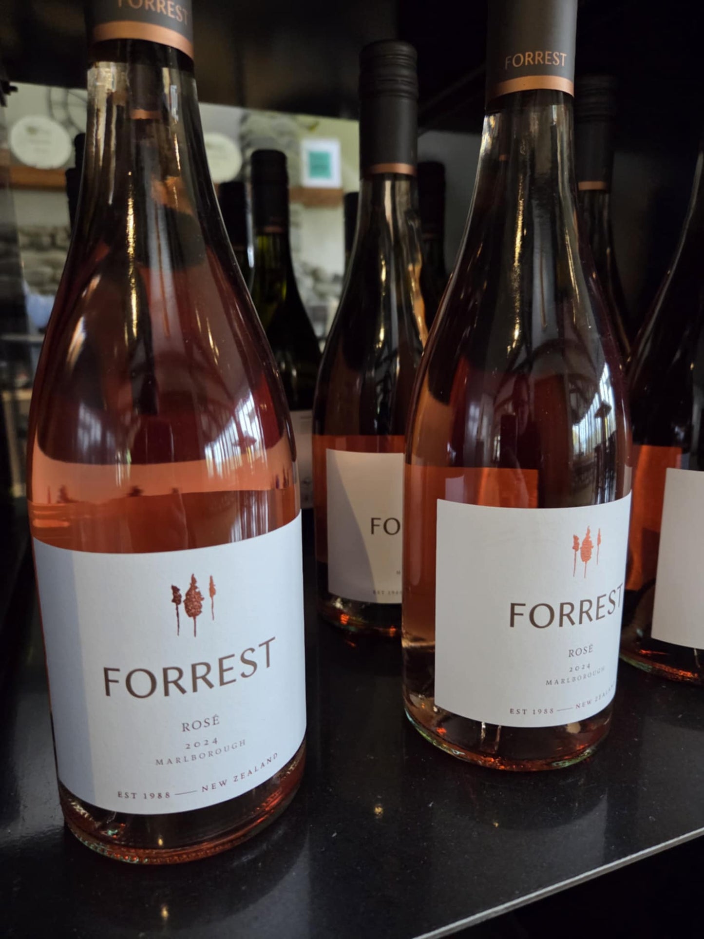 Wine Tasting Tour